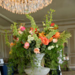 Moffly Media – Women in Business