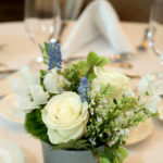 Moffly Media – Women in Business