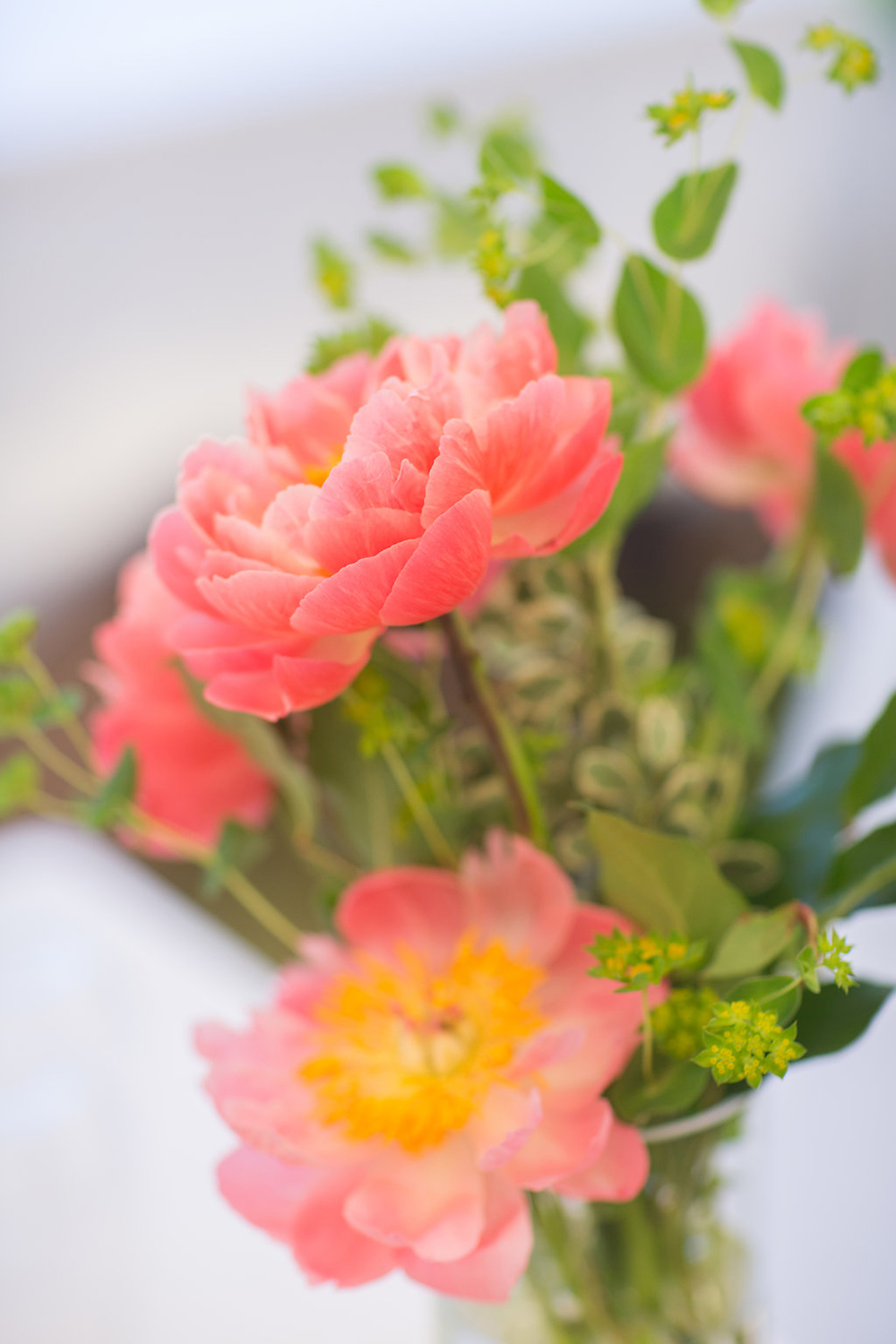 061017_LandinoPhoto-0007