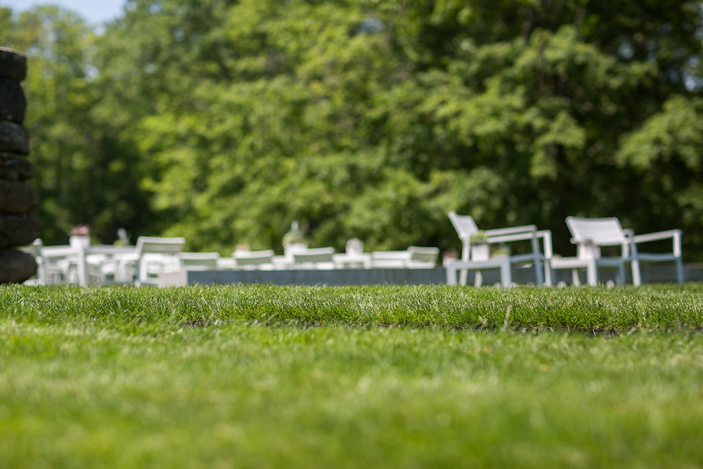 061017_LandinoPhoto-0016