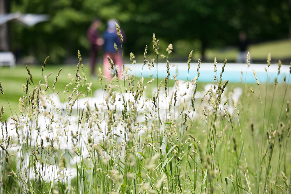 061017_LandinoPhoto-0059