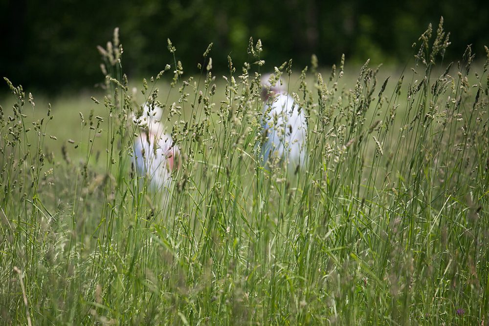 061017_LandinoPhoto-0060