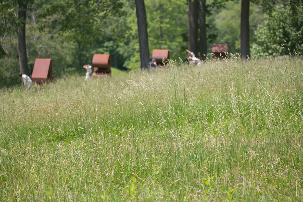 061017_LandinoPhoto-0164