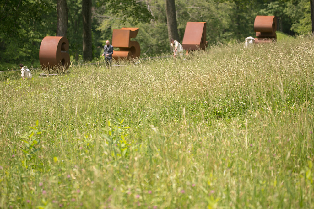 061017_LandinoPhoto-0166