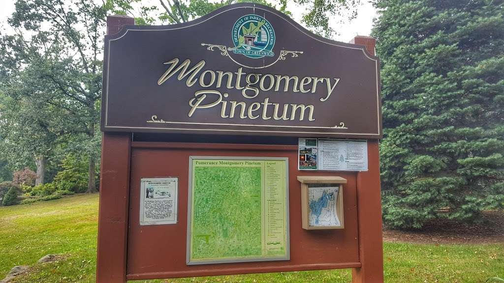 Montgomery pinetum 10