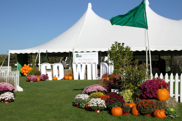 Go wild lettering mums tent 768x512