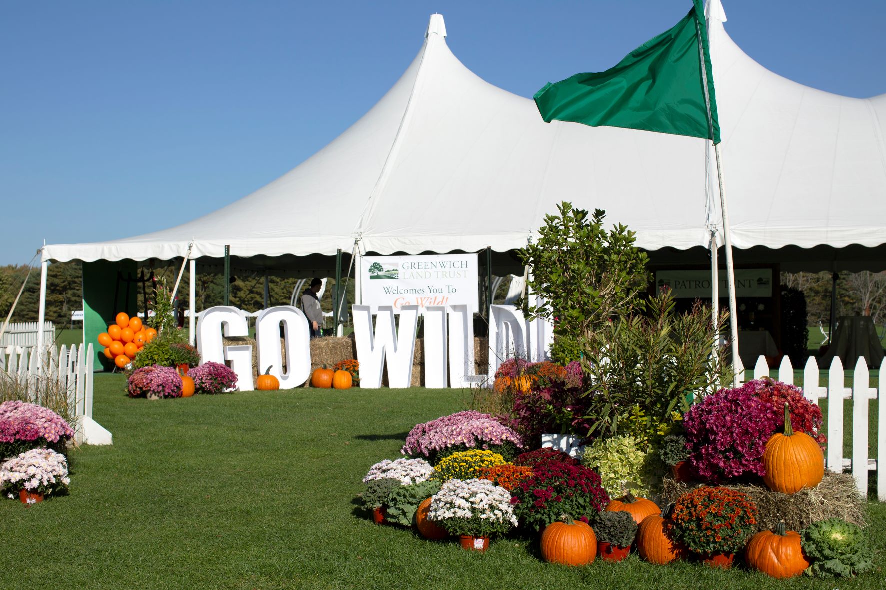 Go wild lettering mums tent 768x512