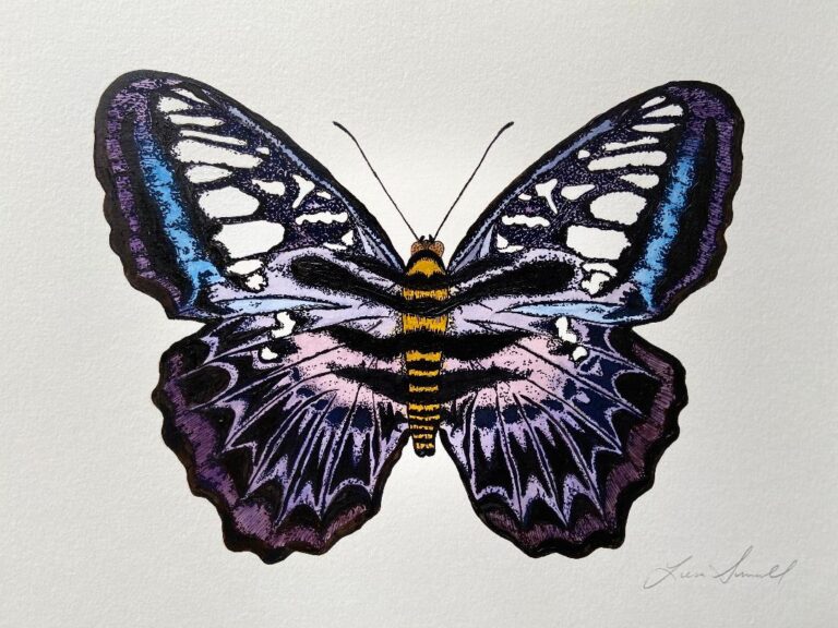 LisaButterfly 768x576