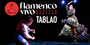 flamenco vivo 300x150