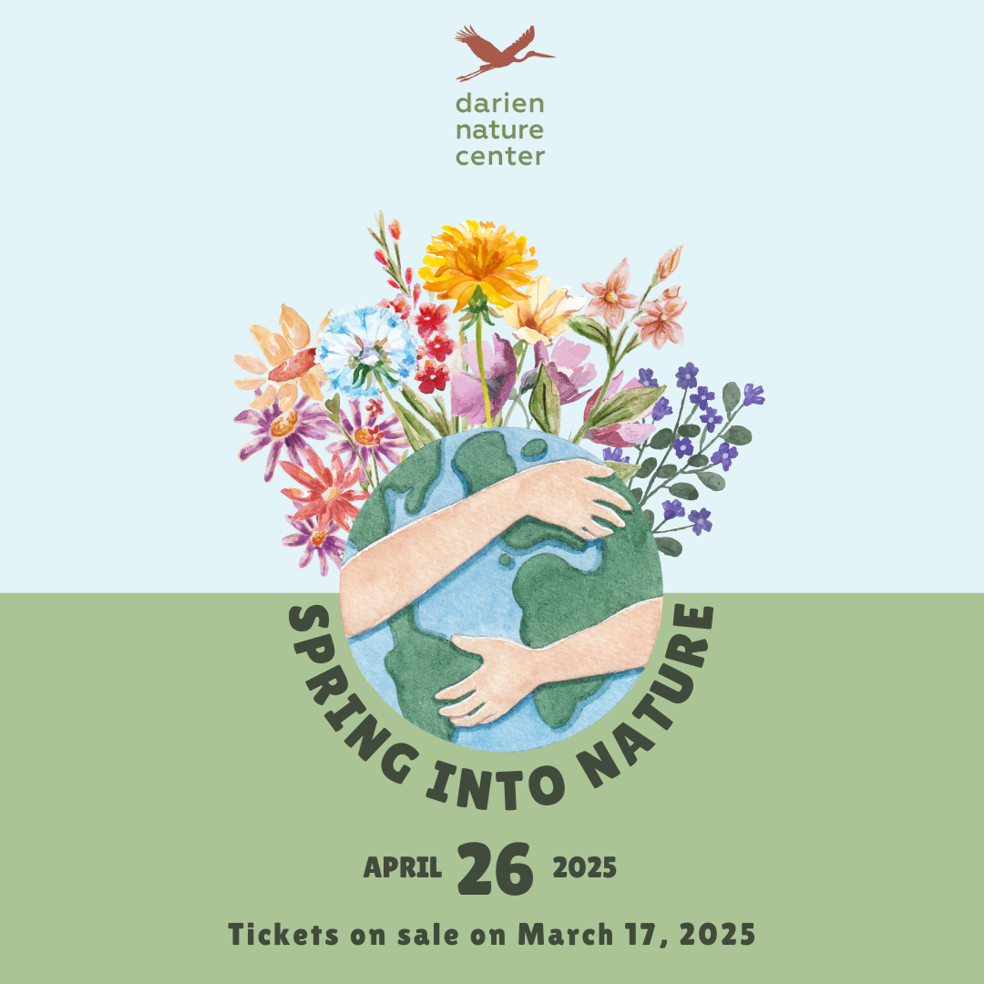 0317 Spring into Nature IG post