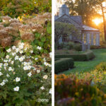 AH-FA-A-Plan-For-All-Seasons-12