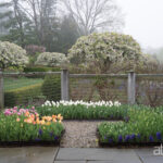 AH-FA-A-Plan-For-All-Seasons-a2