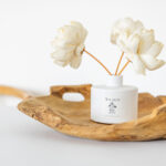 WM-TN-Breaking-New-Ground-6