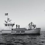 NCD-FA-Queen-of-Gems-11