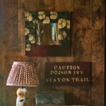 SM-TN-Time-Capsule-4