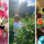 NCD-TN-Growing-Joy-0