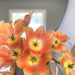 NCD-TN-Growing-Joy-3