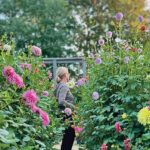 NCD-TN-Growing-Joy-4