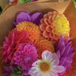 NCD-TN-Growing-Joy-9