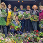 SM-TN-History-in-Bloom-1