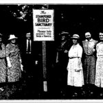 SM-TN-History-in-Bloom-13