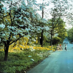 SM-TN-History-in-Bloom-14