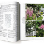 SM-TN-History-in-Bloom-17