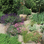 SM-TN-History-in-Bloom-3