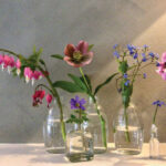 SM-TN-History-in-Bloom-4