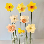 SM-TN-History-in-Bloom-7