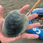 WM-TN-An-Al-Fresco-Adventure-4