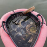 WM-TN-An-Al-Fresco-Adventure-5