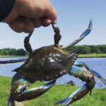 WM-TN-An-Al-Fresco-Adventure-6