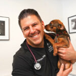 GM-TN-Best-of-the-Gold-Coast-2025-27