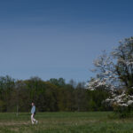 GM-FA-Next-to-Heaven-3