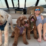 GM-TN-Master-of-Mystery-0