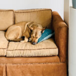 SM-FA-The-Art-of-Creation-9