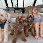 SM-FA-Master-of-Mystery-6