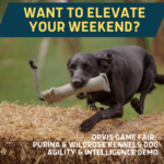 ORVIS highlight rotate 3