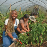 SM-TN-Planting-Seeds-of-Success-3