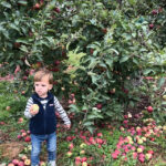 SM-TN-Seasonal-Spotlight-1