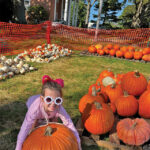 SM-TN-Seasonal-Spotlight-2