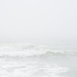 WM-TN-A-Legacy-in-Focus-8