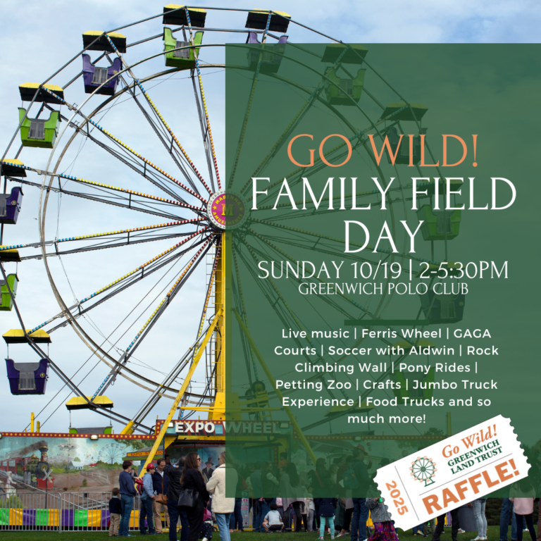 go wild social post 9 10 25 768x768