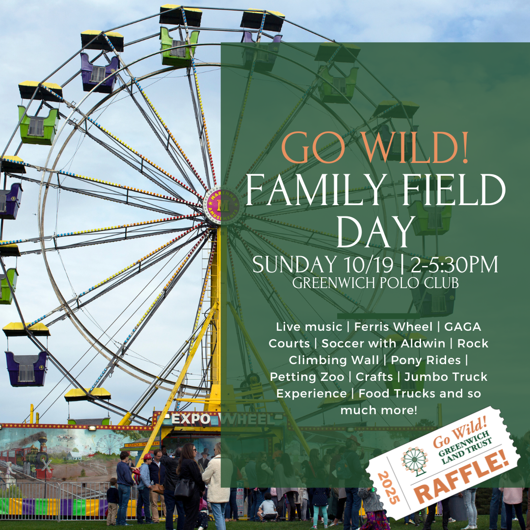 go wild social post 9 10 25