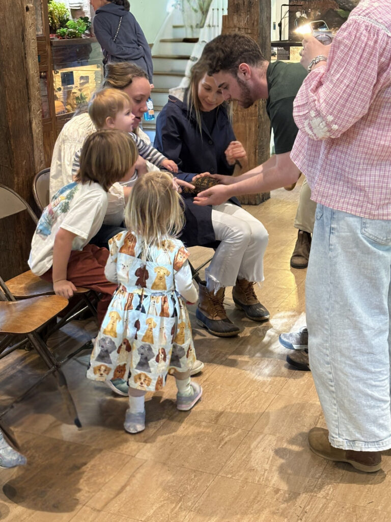 4fb3ee08 12e4 406e 8d17 b65cd76f5967 768x1024