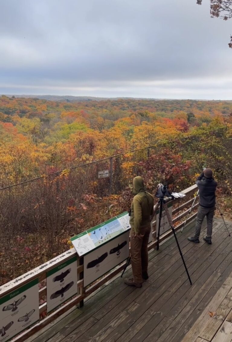 thumbnail image0 768x1132