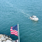 STM-BUZZ-SHININGEDUCATION-3