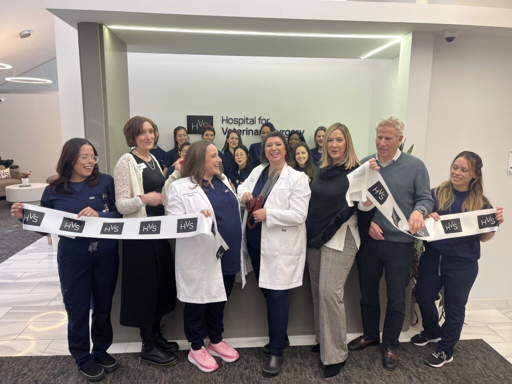 Hospital for Veterinary Surgery (HVS) Opens in Greenwich