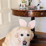 GW-MOM-FORCINGSPRING-2